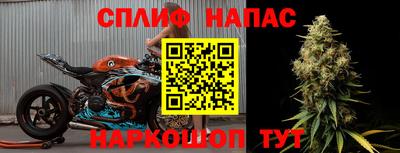 гидра Балахна