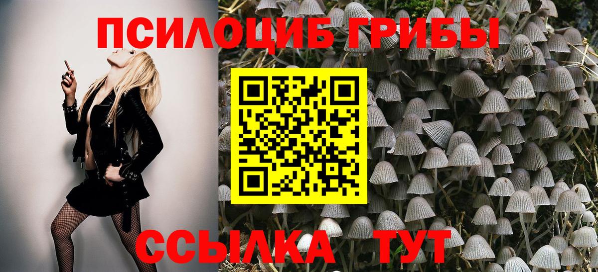 Галлюциногенные грибы мухоморы Ессентуки