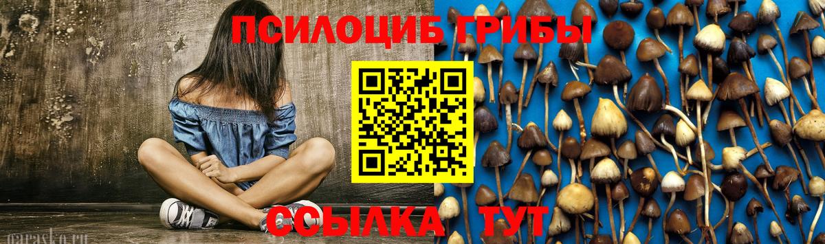 Галлюциногенные грибы MAGIC MUSHROOMS  цена наркотик  Вход с VPN  Ессентуки  Псилоцибиновые грибы GOLDEN TEACHER 